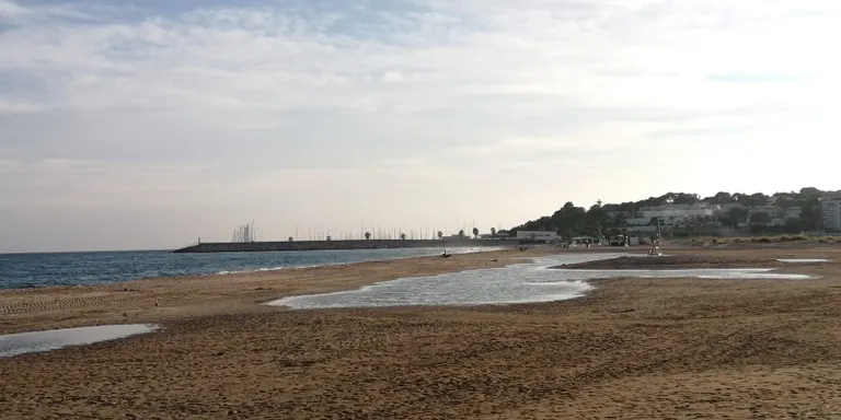 Vale Pino vol fer una reunió per abordar la problemàtica sobre l'extracció de sorra de la platja