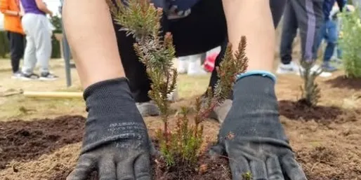 La Sínia organitza una jornada de voluntariat a Salomó