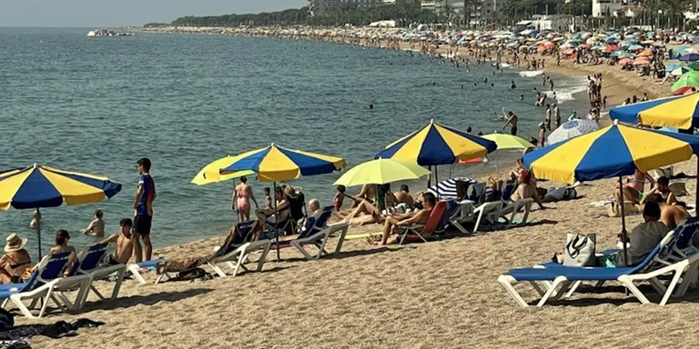 La JEC avala que tenir vacances contractades abans del 29 de maig sigui excusa per no formar part d'una mesa electoral