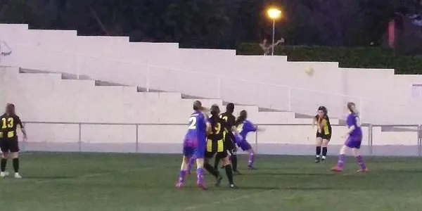 Les abelles de l'Altafulla encadenen la tercera victòria seguida (2-9)