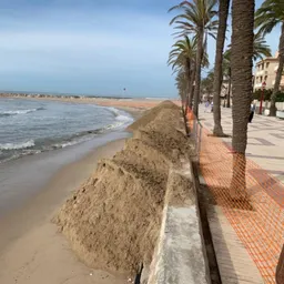 2020_05_20_JOSEP MARIA HUGUÉ (APORTACIÓ PLATJA I CORRIOL CAMA NEGRE) - episode art