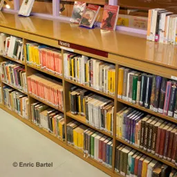 Properes activitats a la Biblioteca Infantil i Juvenil Can Butjosa - episode art