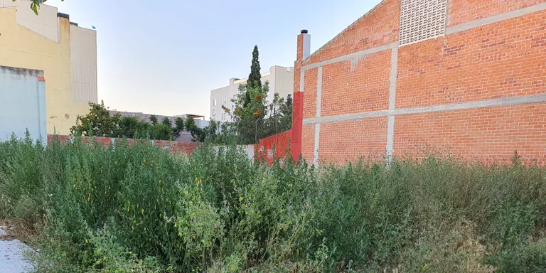 El Morell inicia un any més la seva campanya per a la neteja de solars i patis