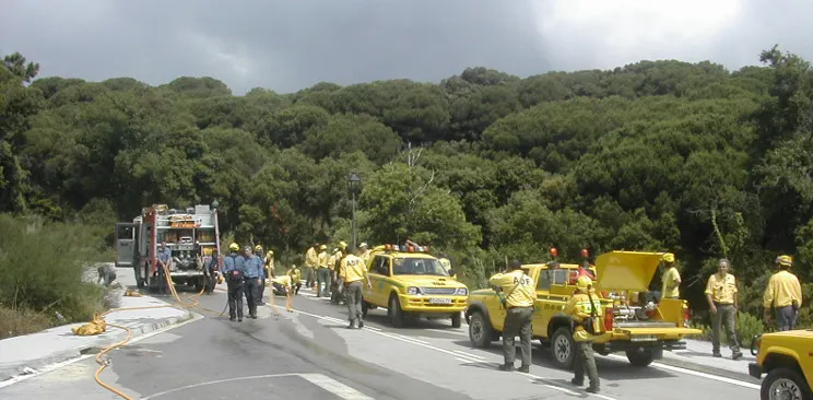 Alerta per la calor i el risc d'incendi forestal