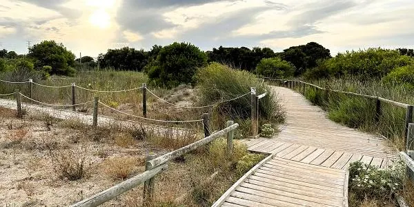 El camí Cal Bofill - Baix a Mar - Els Muntanyans de Torredembarra torna a rebre el segell de Sender Blau