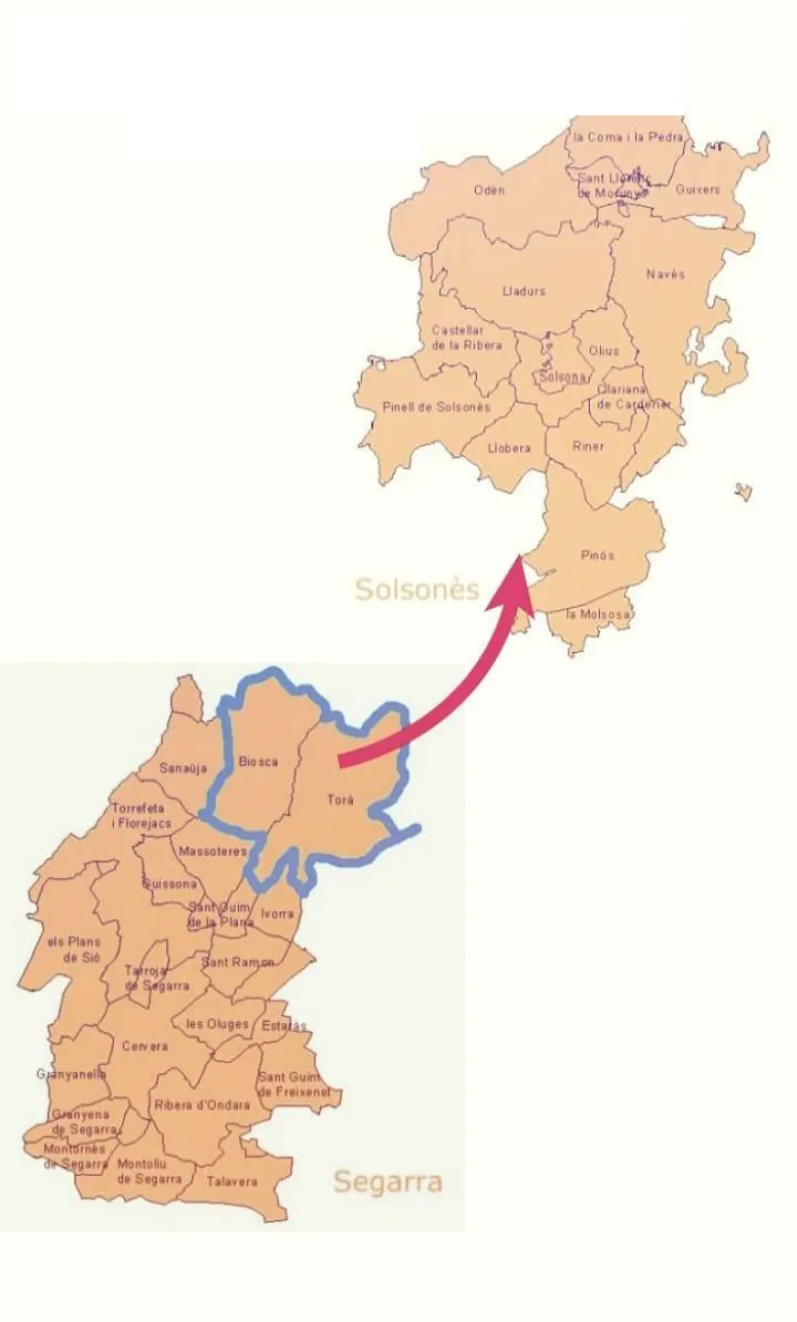 <strong>Les federacions comarcals d'Esquerra del Solsonès i la Segarra consideren necessària la celebració d'una consulta popular per validar el pas de Torà i Biosca al Solsonès</strong>