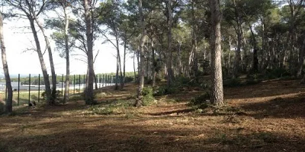 El departament d’Agricultura està fent treballs per evitar incendis forestals a l'entorn de la presó de Mas d'Enric