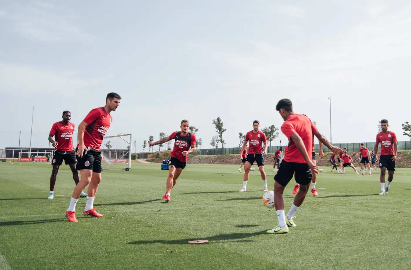Míchel: “No veig un equip superior al nostre”