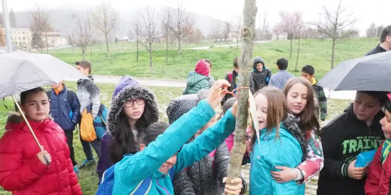 Els escolars de la Seu i Castellciutat celebren el Dia de l'Arbre