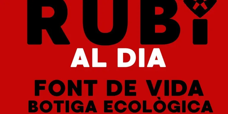 RUBÍ AL DIA dimecres 6 FEBRER 2019
