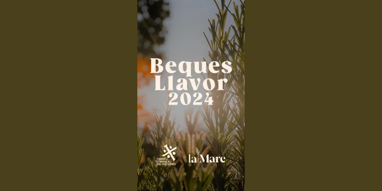 Les Beques Llavor 2024 dotaran amb 1.500 euros dues propostes de creació artística al Solsonès