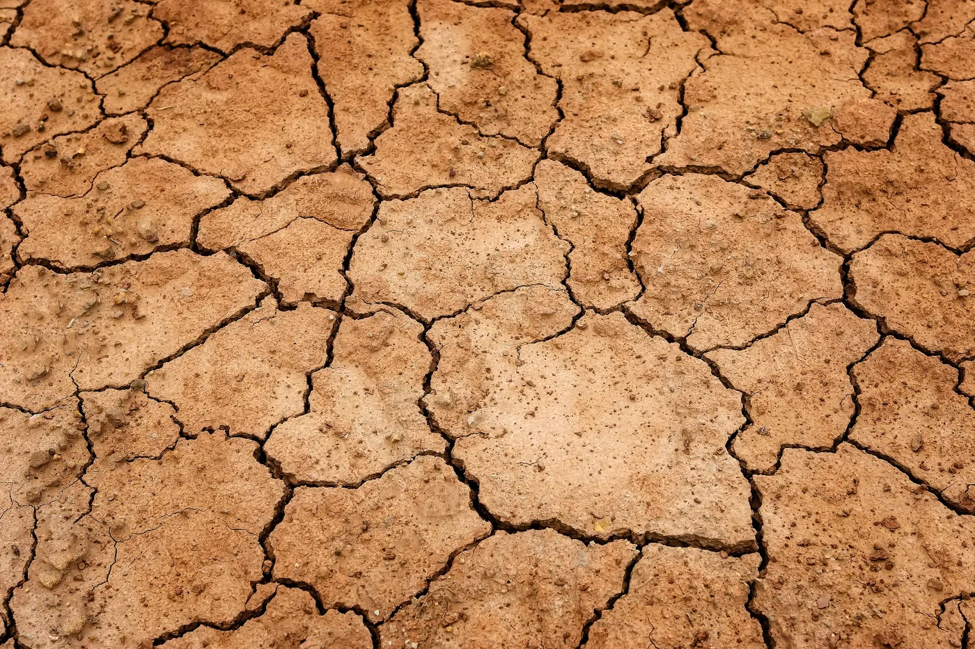 L'ACA declara l'alerta hidrològica a la unitat de Prades-Llaberia per la sequera