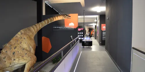 El Govern declara Bé Cultural d'Interès Nacional el jaciment d'ous de dinosaure de Coll de Nargó