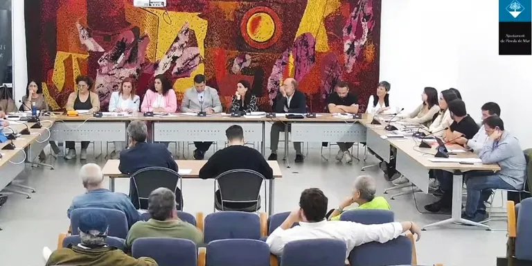 El ple de Pineda aprova nous carrers de zona verda