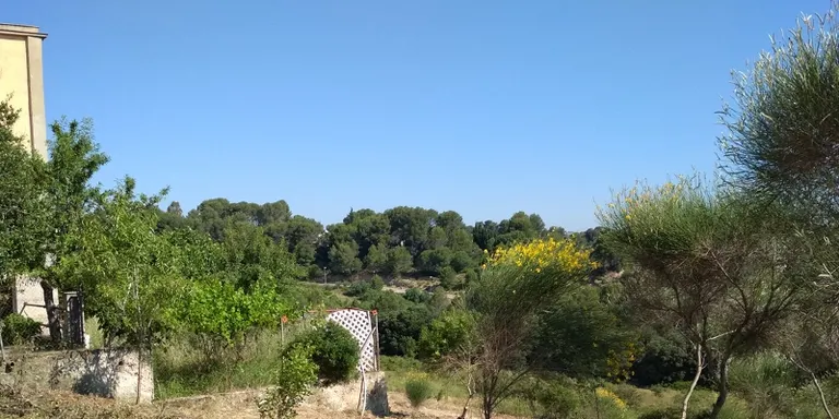 Sant Muç tindrà una franja de seguretat que el protegirà dels incendis