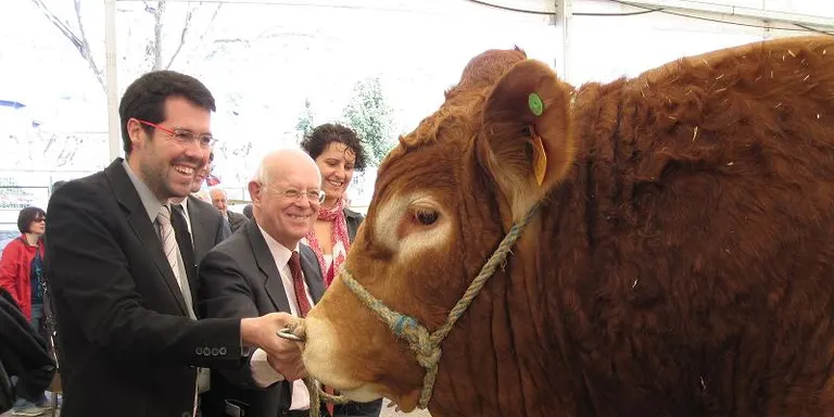 La Fira de Primavera exposa la qualitat dels productes ramaders de l'Alt Urgell