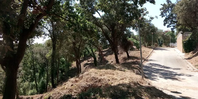 L’ajuntament d’Arenys de Munt ha realitzat diferents neteges forestals per prevenir incendis