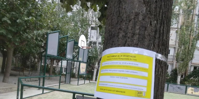 Divendres a la nit, tractament fitosanitari de l’arbrat al carrer Lluís Guardiola