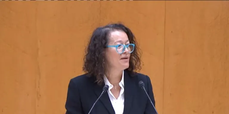 El Senat aprova una moció d'ERC per millorar el Pla de Transport Alternatiu