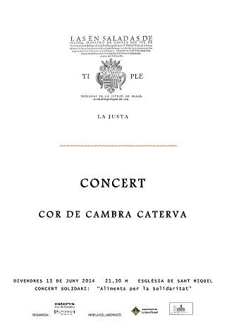 Concert solidari a la Seu del Cor de Cambra Caterva