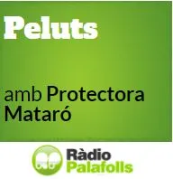 Peluts