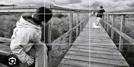Taller de composició fotogràfica amb Fotoamigo aquest dissabte