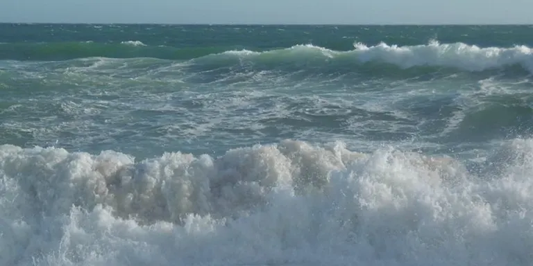 La garbinada torna a afectar la Platja de Pineda