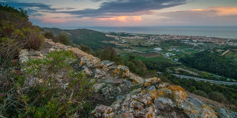 L'Enginyer de Forests Oriol Bassa explica que «en els propers 50 anys els boscos del Maresme seran més arbustius»
