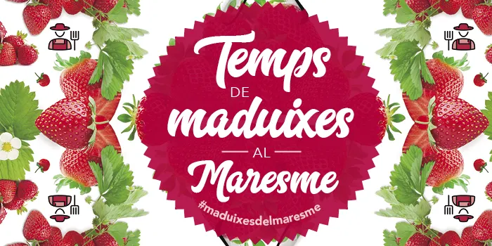 Els productors de maduixes esperen fer una bona temporada