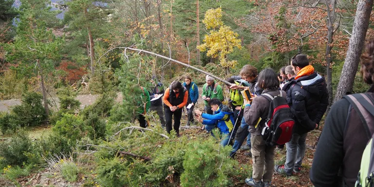 El Parc Natural de l'Alt Pirineu obre les inscripcions al curs de Bon/a Coneixedor/a del Parc