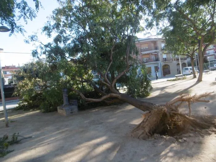 Ràfegues de vent de 100 km/h a Pineda la matinada de diumenge