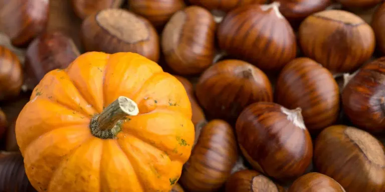 La Castaween, una festa que combina la Castanyada i el Halloween