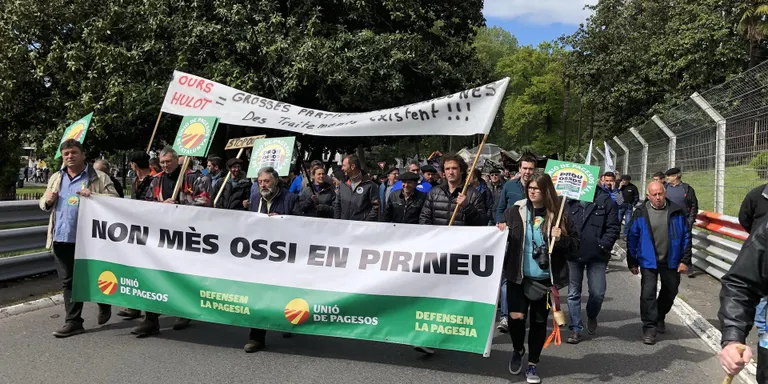 Unió de Pagesos duu a terme una campanya contra els danys de la fauna salvatge
