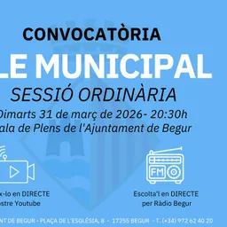 31 de març: Ple municipal ordinari de l’Ajuntament de Begur - episode art