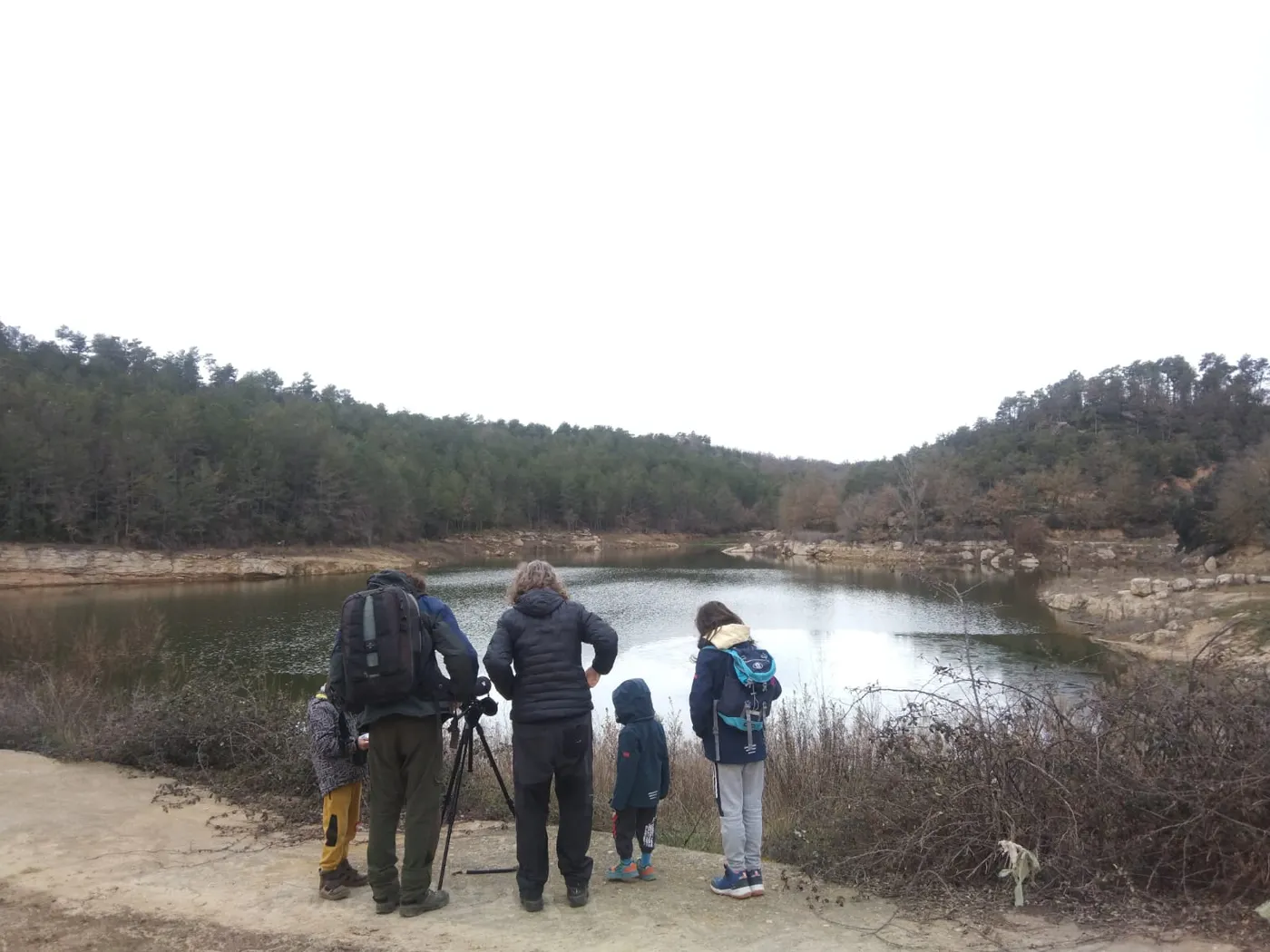 L'augment de les reserves als pantans del Solsonès permet recuperar les zones on dormen agrupats els ocells aquàtics hivernants
