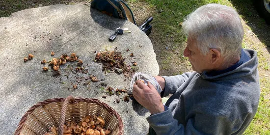 La temporada de bolets arrenca tard i no es preveu gaire bona