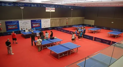 LA FEDERACIÓN ESPAÑOLA DE TENIS DE MESA PREMIA AL AYUNTAMIENTO DE IRUN