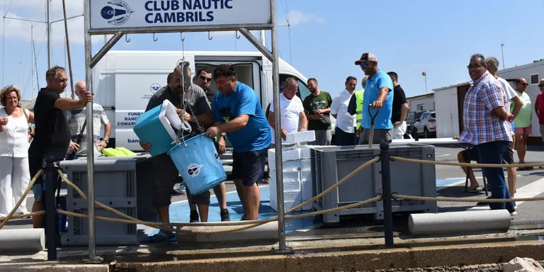 Els concurs de pesca benèfic del Club Nàutic aconsegueix 170,4 kg de captures a favor del Banc d’Aliments