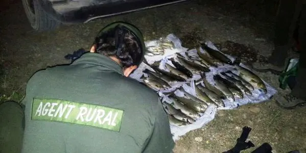 Denuncien dos furtius per pesca il·legal de truites a Oliana