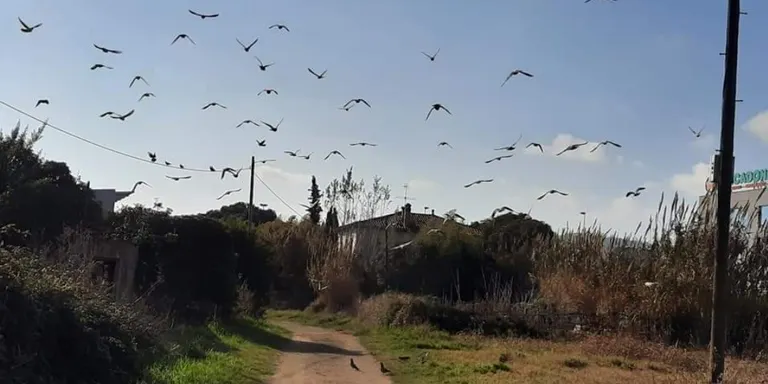 Bonança i ambient normal per l'època