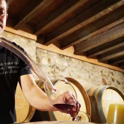 Entrevista Ricard Sebastià, president de la DO Conca de Barberà - episode art