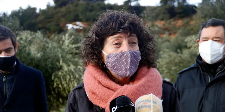 Agricultura estima que la nevada del temporal Filomena ha afectat unes 46.000 hectàrees d'oliveres