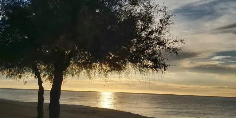 Temps estable i ambient de tardor