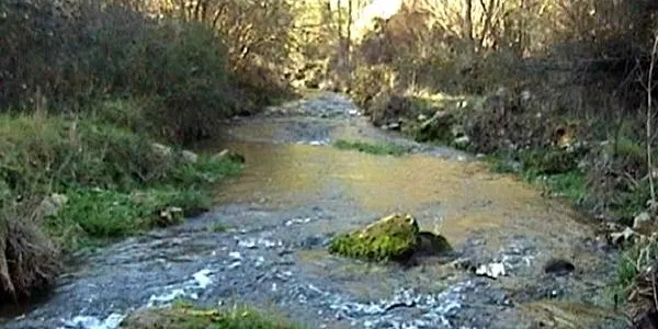 L’Associació Mediambiental La Sínia d’Altafulla alerta del risc d’incendi a l’entorn del riu Gaià