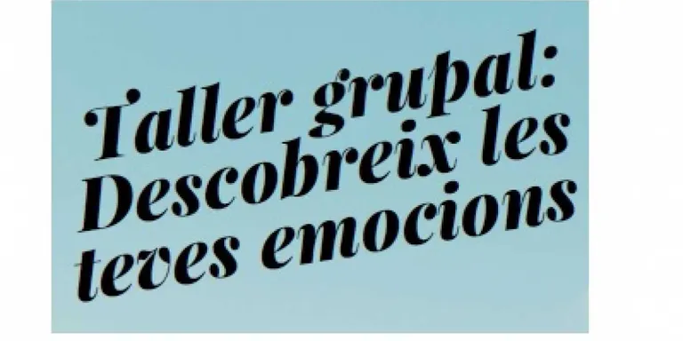 Taller grupal per descobrir les emocions