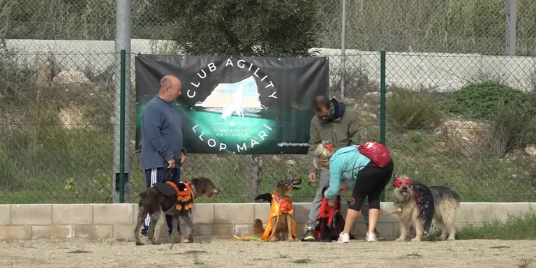 Els peluts de la casa també celebren el Halloween al Club Agility Llop Marí