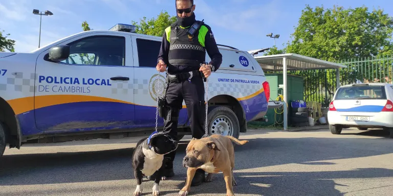 L’Ajuntament de Cambrils sanciona dues persones per incomplir la normativa de gossos potencialment perillosos