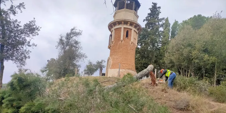 L'àrea de Medi Ambient està netejant camins rurals, parcel·les i zones de bosc que són municipals