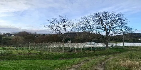 SE ABRE EL PLAZO PARA OPTAR A UNA PARCELA EN LA AGROALDEA ECOLÓGICA DE BOTIKA