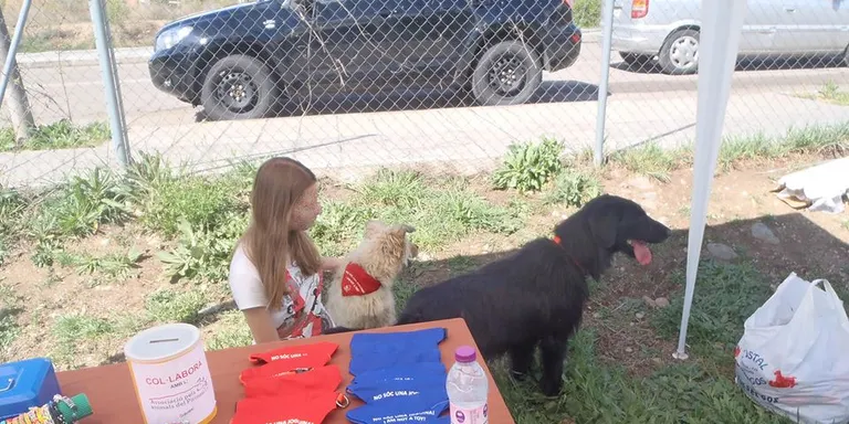 L'Associació pels Animals del Pirineu fomenta l'adopció